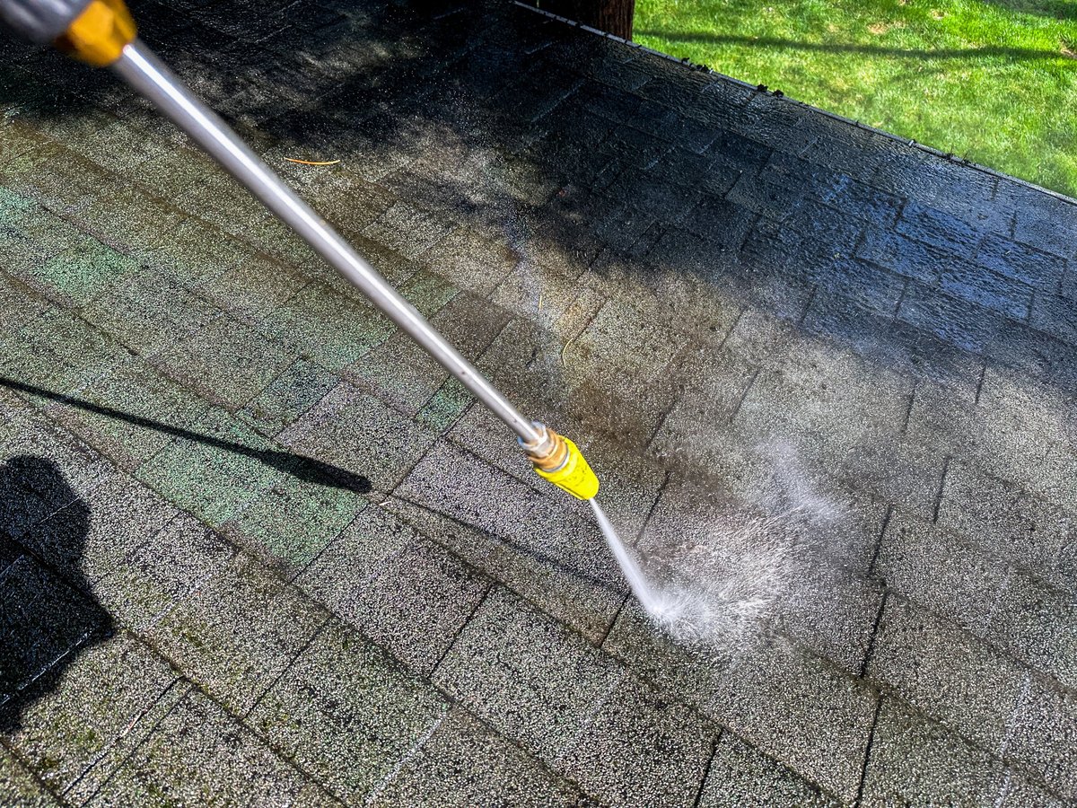 Roof with algae streaks needing cleaning